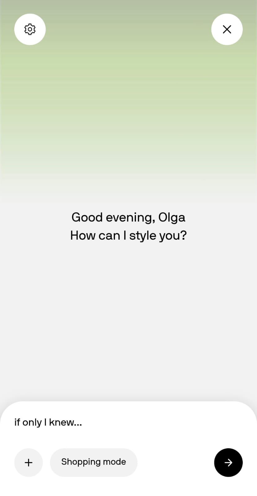 Style identity preview